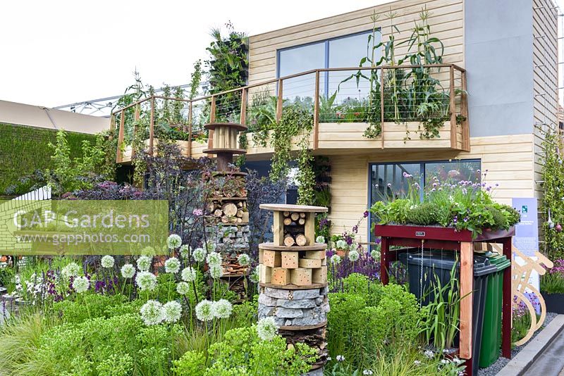 Greening Grey Britain Garden with  vegetables in containers on balcony, insect house and living roof bin store - RHS Chelsea Flower Show 2017 - RHS Chelsea Flower Show