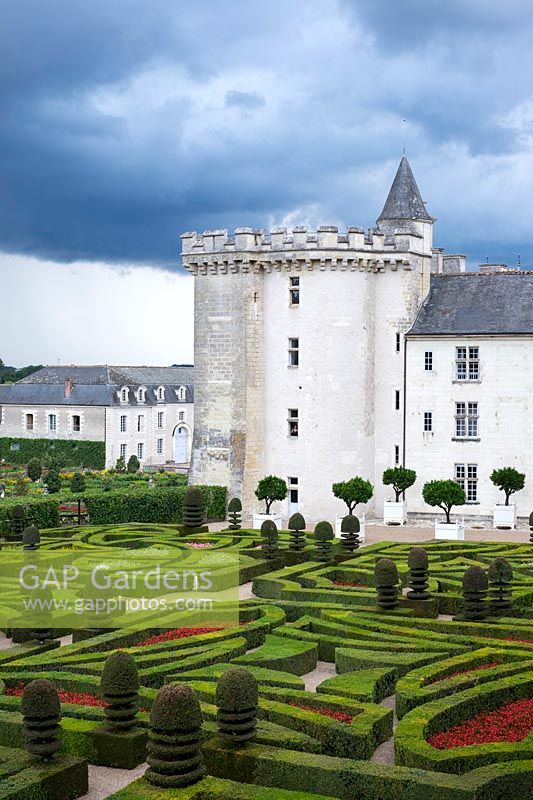 The knot garden and parterre with yew hedging and topiary - Chateau Villandry, Loire Valley, France