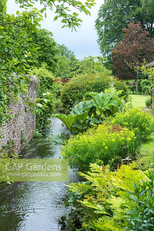 Streamside planting with Gunnera manicata, Euphorbia palustris and Osmunda regalis.