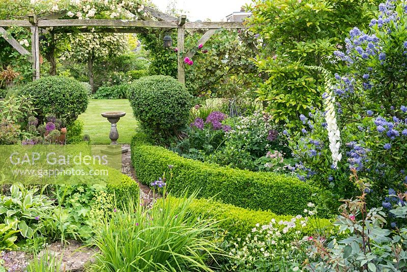 View to pergola with bird bath. Ilex crenata topiary and box edging. Herbaceous perennials including alliums, alchemilla, astrantia and irises. Shrubs including ceanothus, roses and magnolia