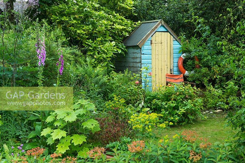 Old beach hut forming focal point in shrub border.