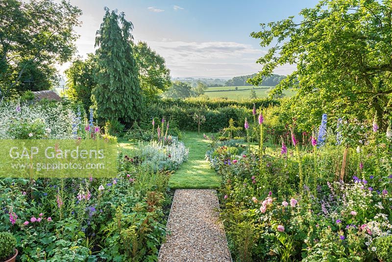 Double borders with roses, foxgloves, Crambe cordifolia, delphiniums and astrantias with a view of the open countryside landscape