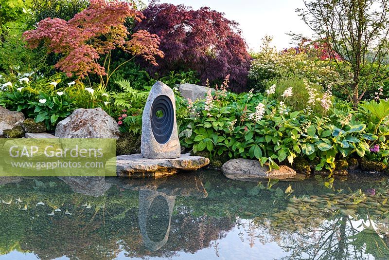 Japanese style garden with Acer palmatum, Zantedeschia aethiopica, Rodgersia aesculifolia and Gunnera manicata - 'At One With...A Meditation Garden' - Howle Hill Nursery, RHS Malvern Spring Festival 2017