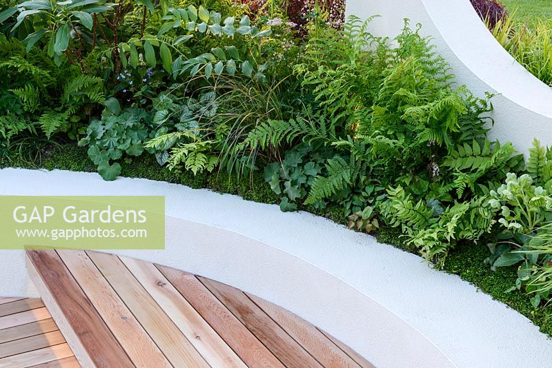 Japanese style garden border - 'At One With...A Meditation Garden' - Howle Hill Nursery, RHS Malvern Spring Festival 2017