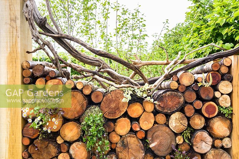 Fence made of rustic oak logs and branches - Buckfast Abbey Millennium Garden, RHS Malvern Spring Festival 2017 