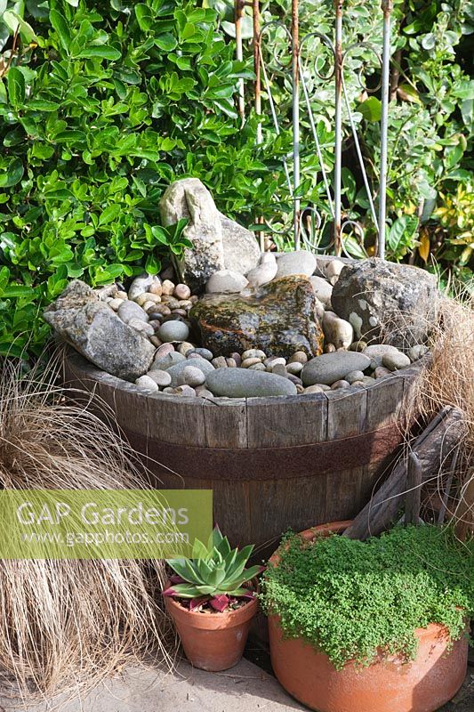 Small barrel water feature filled with cobbles and pots of bronze grasses, succulent and Soleirolia soleirolii - Mind Your Own Business.