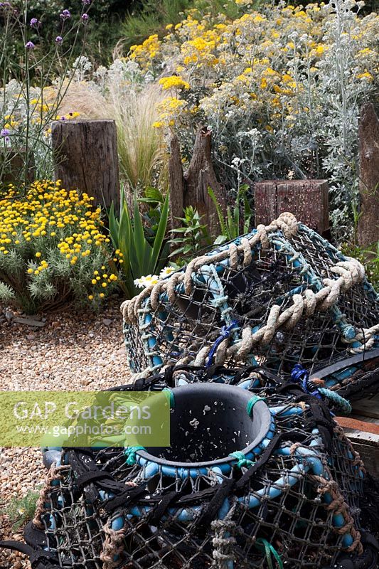 Lobster pots in seaside themed front garden planted with coastal plants  including Cineraria 'Silver Dust', Santolina 'Lambrook Silver' , Stipa tenuissima, Verbena bonariensis and decorated with   driftwood sculptures