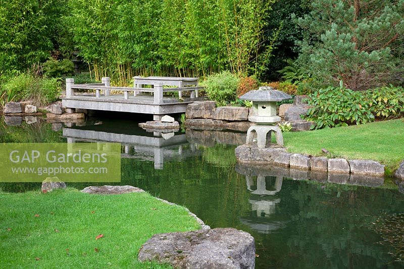 A Japanese style zen garden with oak deck jetty overlooking pond,  Bamboo, Viburnum davidii, Pinus and  stone lantern ornament - Brightling Down farm
