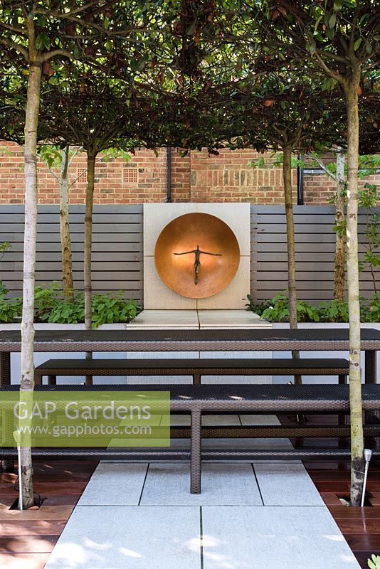 Seating area under umbrella pleached Photinia x fraseri 'Red Robin', Asplenium scolopendrium