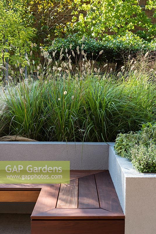Contemporary seat and raised bed with Pennisetum thunbergii 'red buttons', Salvia officinalis 'Kew Gold', Thymus 'Silver Queen'