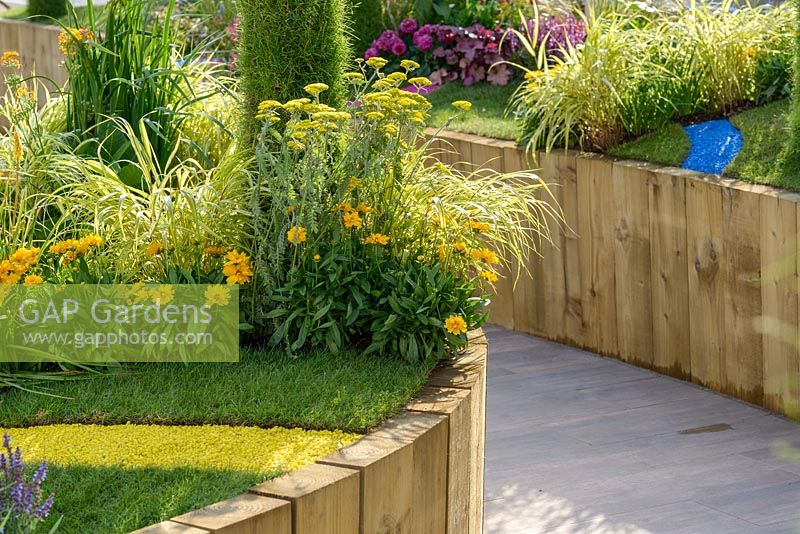 Raised beds with yellow Coreopsis and Achillea - BBC Gardener's World Live, Birmingham 2017 - GreenThumb's 'With a Twist' Garden - Designer: Pip Probert