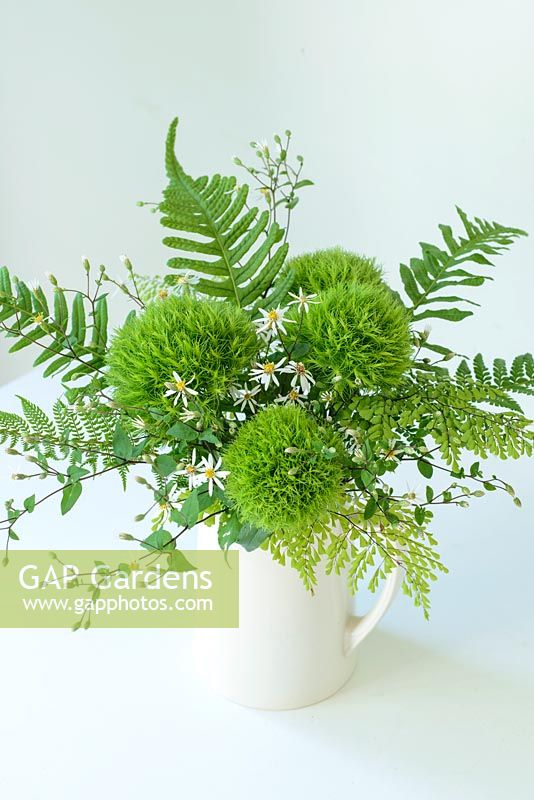 Green Sweet Williams in an arrangement with fern leaves.