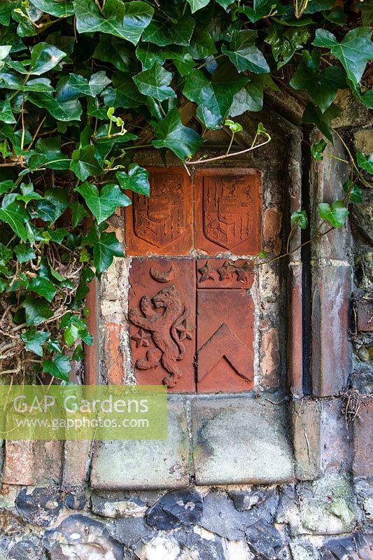 Terracotta plaques with shields of arms, in 'Medieval ' terrace wall, framed by Hedera helix - ivy. 