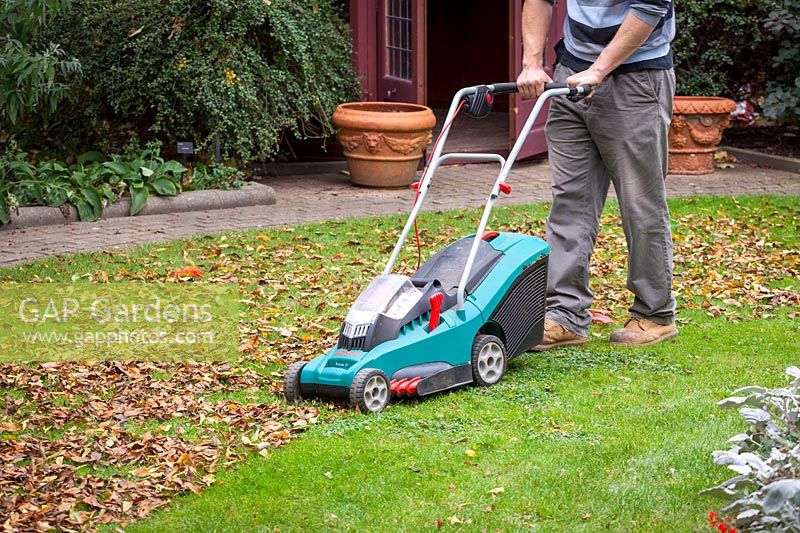 Gathering autumn leaves using a rechargeable electric mower, October