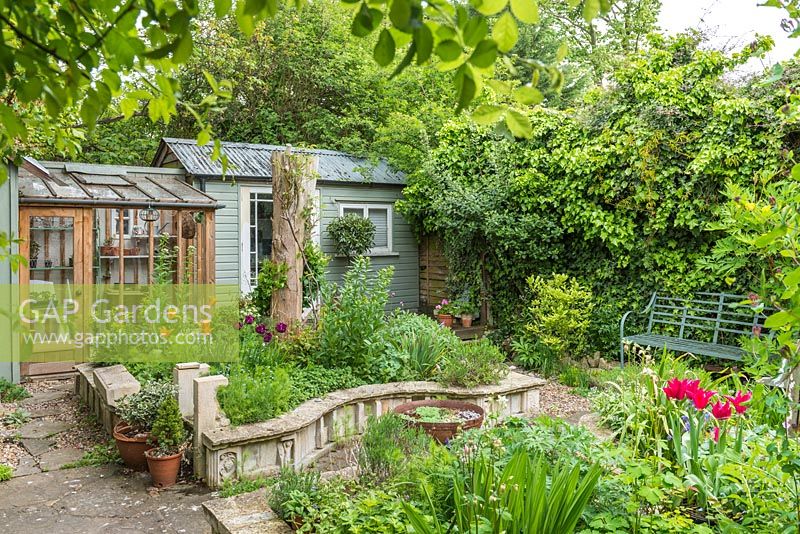 Small town garden in spring. Raised beds constructed from reclaimed materials, garden studio and small lean to greenhouse. Wrought iron garden seat. April.