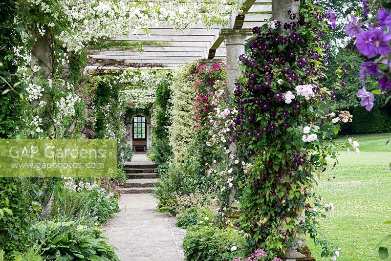 Stone pergola with Rosa and Clematis at West Dean Gardens, West Sussex, June
