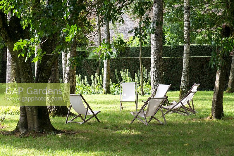 Deck chairs under birch trees, July