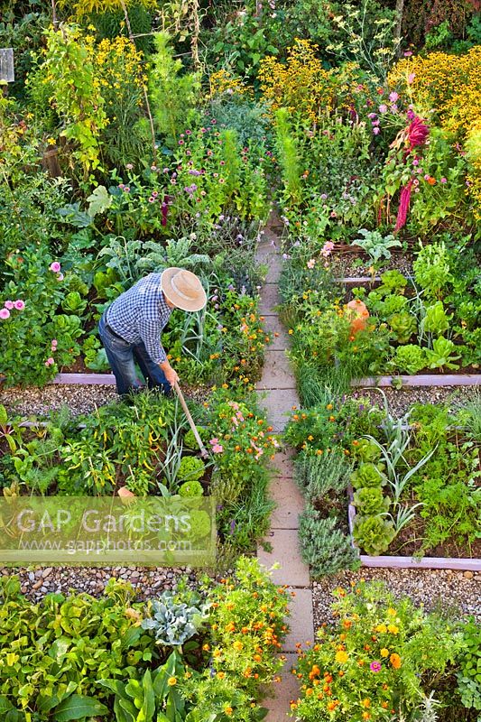 Man working in the garden using hoe