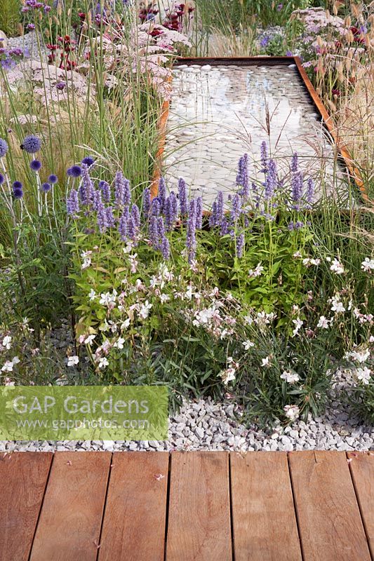 Agastache foeniculum and Gaura lindheimeri with Achillea millefolium 'Sally' and Pennisetum 'Red Buttons' growing around a fibreglass water trough with rusty effect finish full of pebbles in the 'Business and Pleasure' Garden at Tatton RHS Flower Show 2017