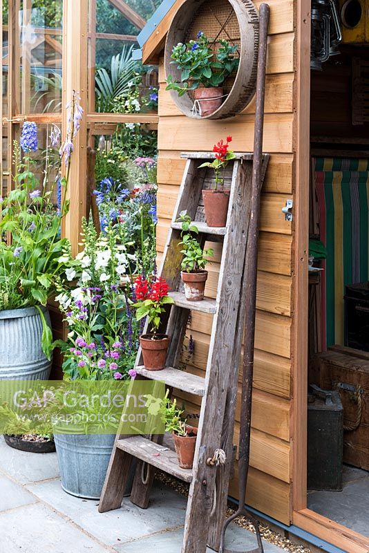 An old wooden ladder displays potted plants, outside a Gabriel Ash garden building.