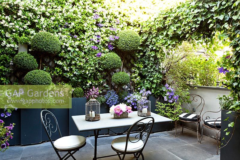 Mixed planting on Franceschini terrace, Milan, Italy.