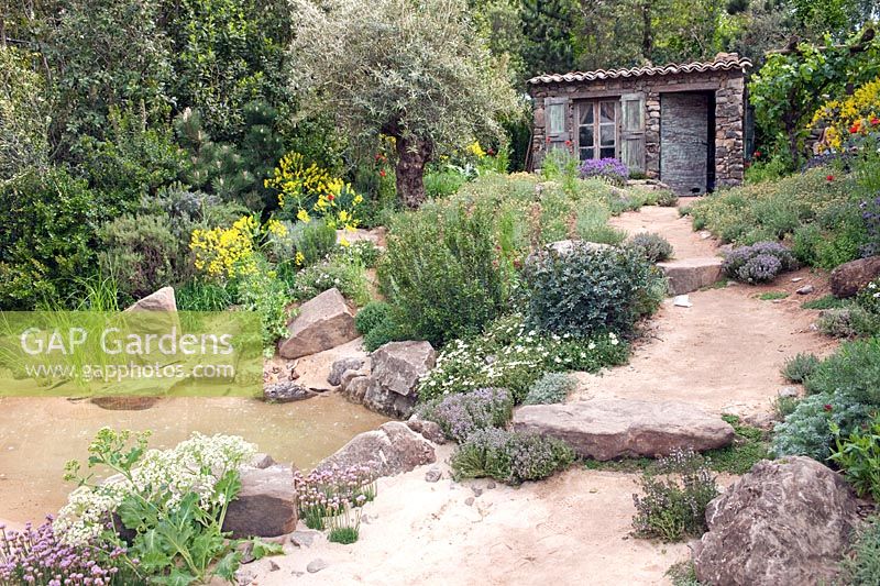 Planting around pool with traditional bergerie - sheepfold, L'Occitane Immortelle Garden, RHS Chelsea 2012, May.