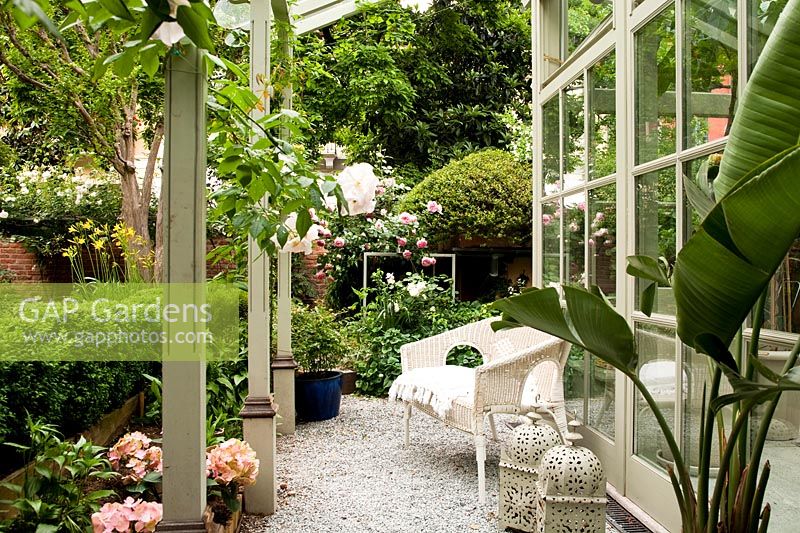 Conservatory with Rose 'Francis E. Lester' in the foreground and in the background Rosa 'Pierre de Ronsard'. Milan. Italy.
