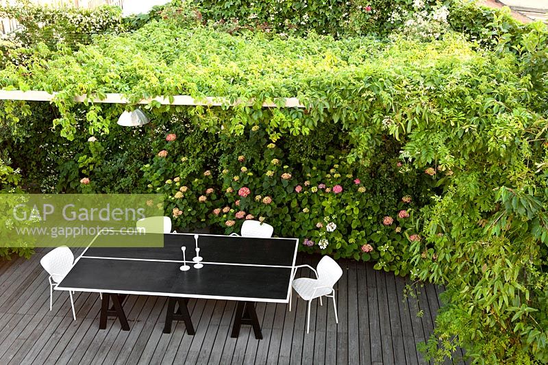 Dining area, on lower terrace with Hydrangea and climbing plants. Milan. Italy, May. 