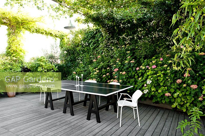 Dining area on lower terrace with Hydrangea and climbing plants. Milan. Italy, May. 