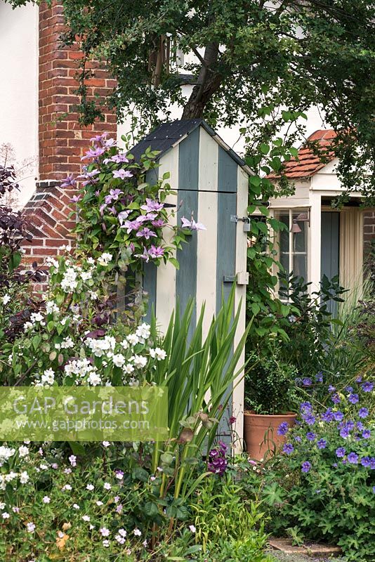 A wooden tool shed is painted in stripes, and Clematis 'Hagley Hybrid' trained up the left side. In front stands fragrant philadelphus and hardy geranium.