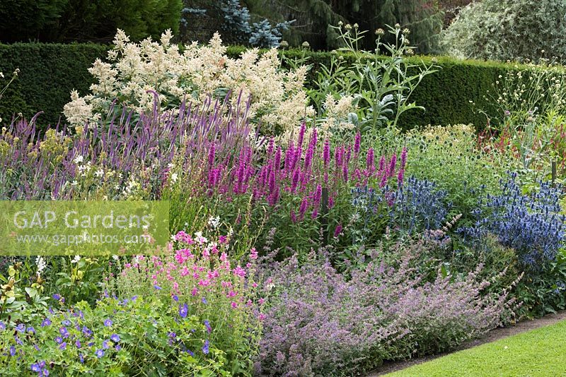 Newby Hall's herbaceous border planted with clumps of clary sage, catmint, eryngium, lythrum, veronicastrum, gaura, echinops, hardy geranium and aruncus.