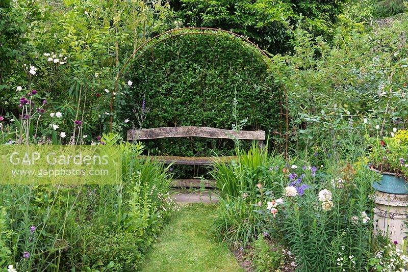 A clipped privet hedge creates a leafy back to a wooden bench, tucked away between flower borders.