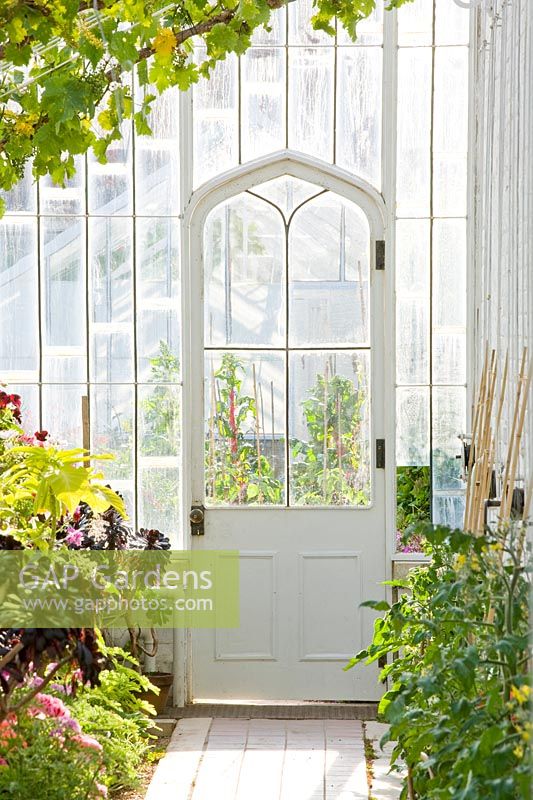 Interior of Greenhouse at The Collector Earls Garden, Arundel Castle, West Sussex. 

