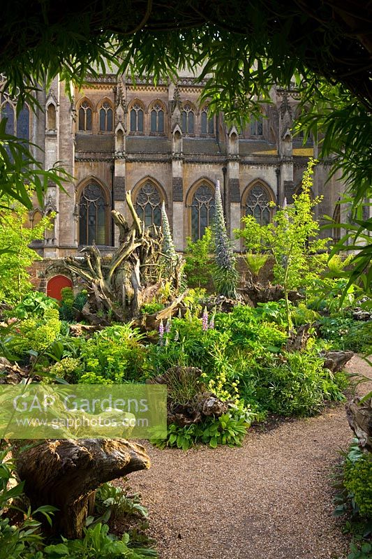 The Stumpery, The Collector Earls garden, Arundel Castle, West Sussex, May
