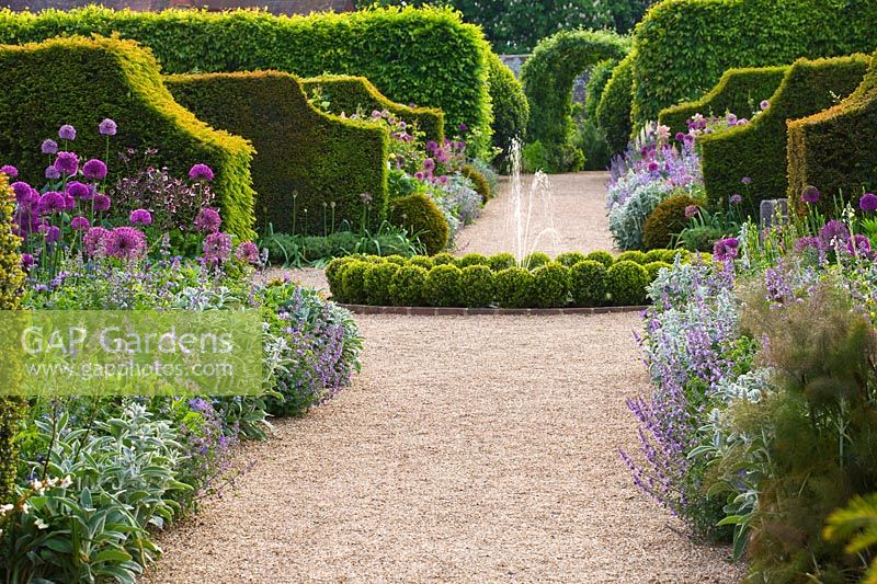 Path to fountain with Box balls, Alliums and Yew hedges, The Collector Earls garden, Arundel Castle, West Sussex, May
