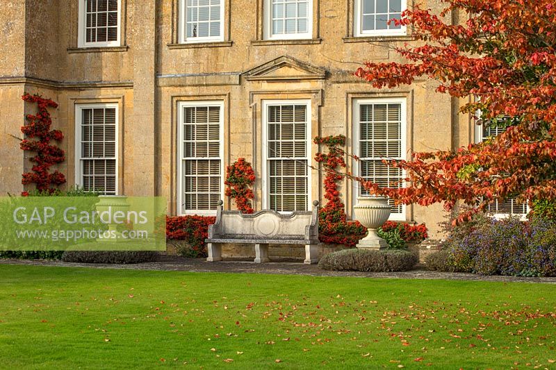 Trained Pyracantha on wall, urns, containers, Parrotia persica - Bourton House Garden, Gloucestershire