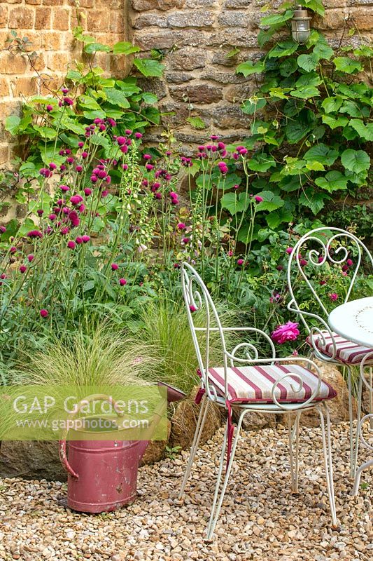 Small courtyard garden with stone wall, chairs and watering can, Stipa tenuissima,  Cirsium rivulare 'Atropurpureum', Vitis coignetiae