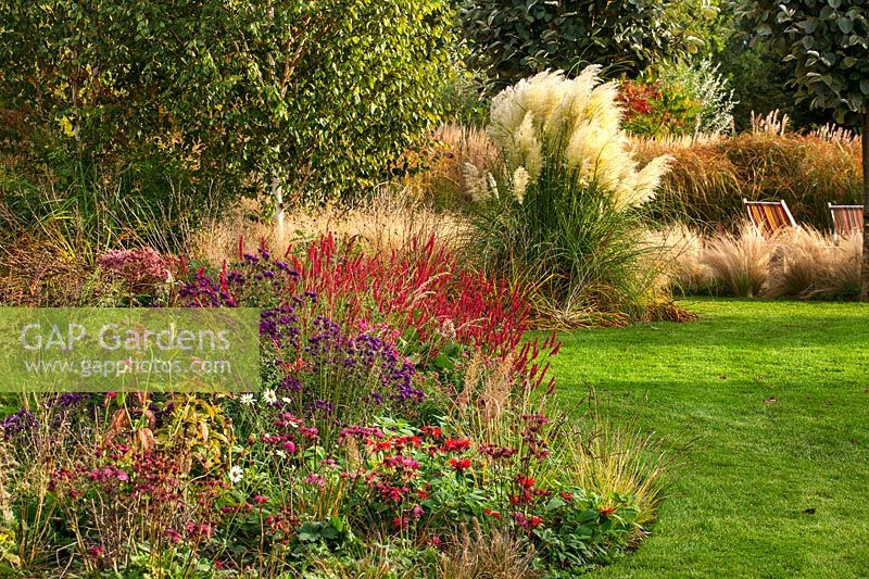 Informal beds with Cortaderia selloana - pampas grass and Persicaria 'Atrosanguinea', Monarda 'Cambridge Scarlet', Aster novae-angliae 'Violatta'