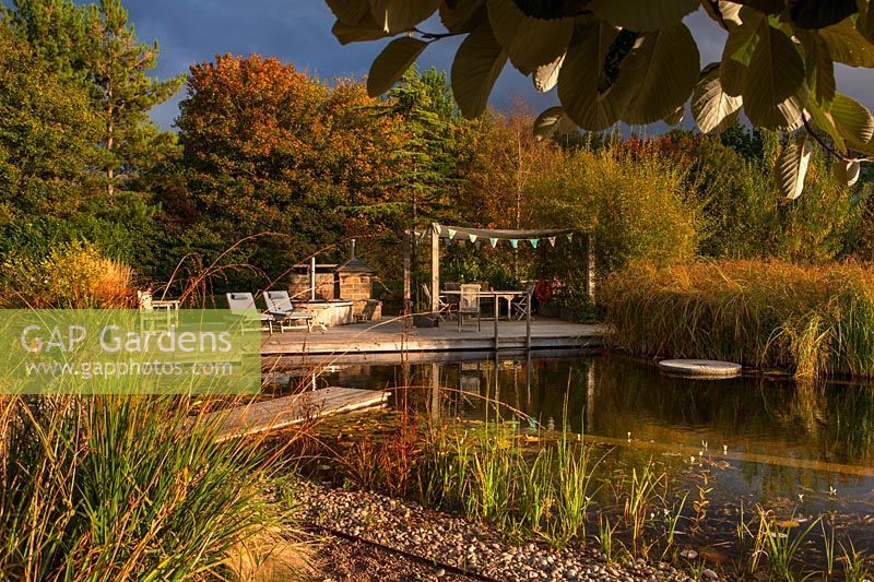 'Natural' swimming pool, grasses with decking, seats and pergola