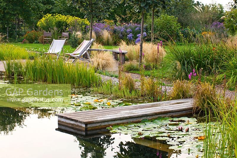 Natural swimming pool with waterlilies, marginal planting, wooden jetty and waterside seating area