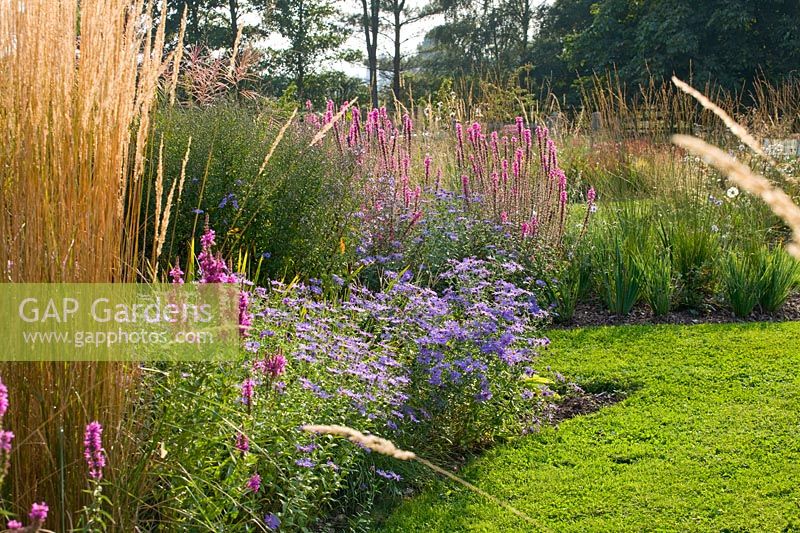 Beds of grasses and perennial flowers beside lawn