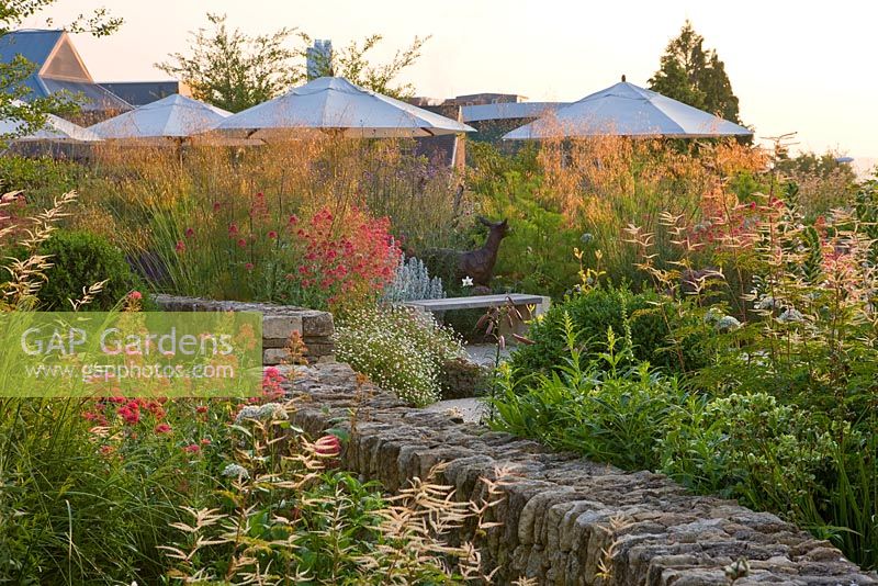 Border with Centranthus ruber, Stipa gigantea, limestone wall, Centranthus ruber and Aruncus dioicus 'Horatio'