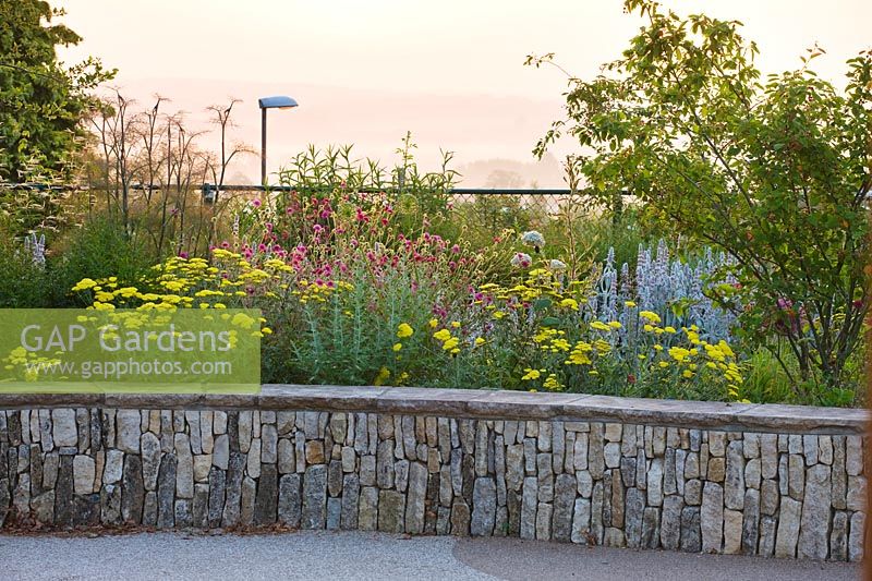 Low limestone wall with mixed planting of Achillea 'Moonshine', Knautia macedonica and Stachys byzantina