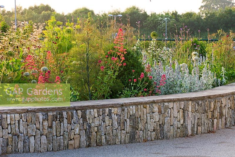 Limestone wall with border of Stachys byzantina 'Silver Carpet', Alliums, Fennel and Achillea 'Moonshine'