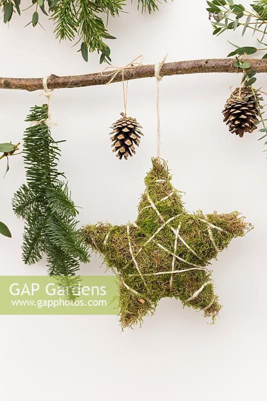 Branch decorated with stars and foliage