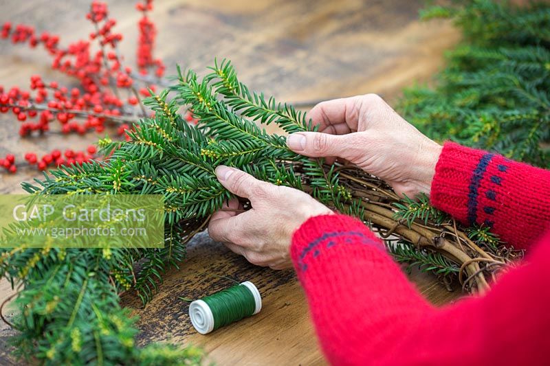 Close up detail of attaching Yew foliage to festive wreath