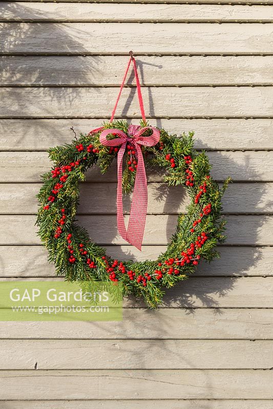 Festive Christmas wreath hanging in a rustic setting in afternoon light