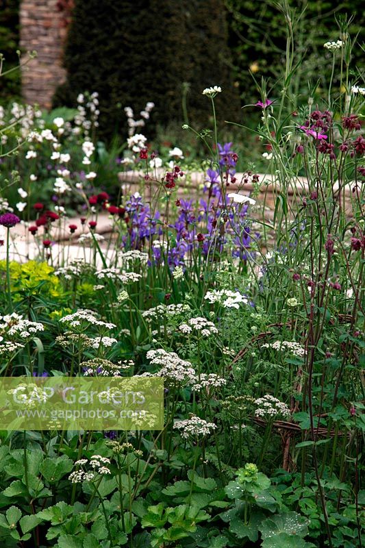 RHS Chelsea 2012 The Brewin Dolphin Garden designed by Cleve West - Best in Show Medal Winner