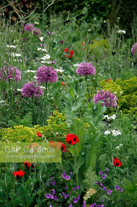 RHS Chelsea 2012 The Brewin Dolphin Garden designed by Cleve West - Best in Show Medal Winner