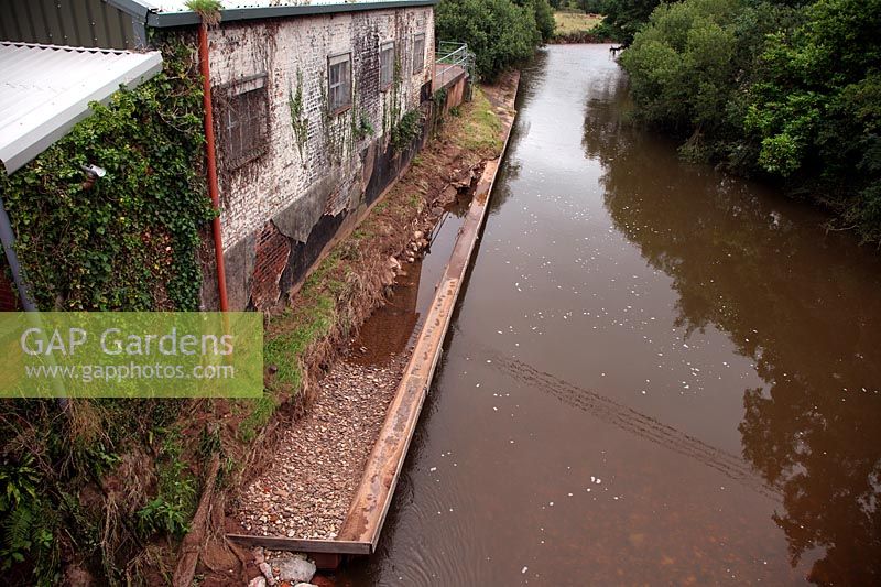 Flooding erosion in Ottery St Mary. The River Otter in Devon July 2012